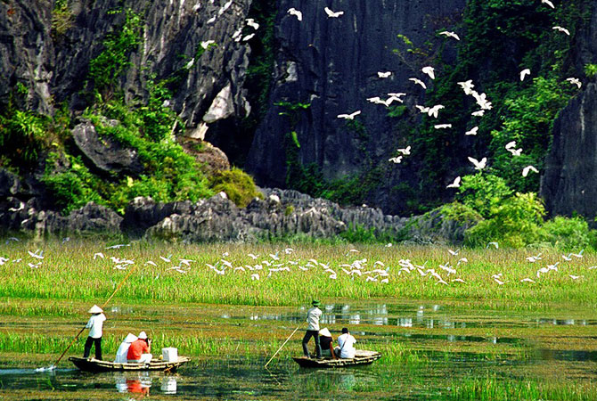 Van Long Reserve in Ninh Binh
