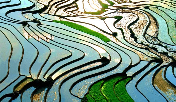 Sapa