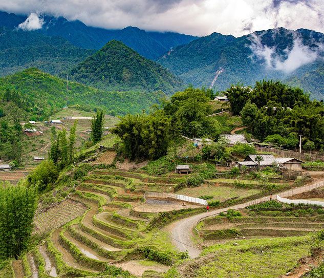 Sapa