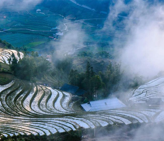 Sapa