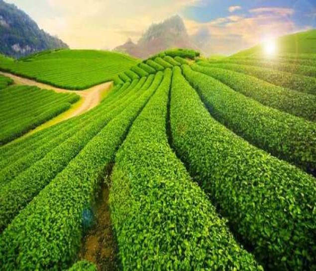 Northern Vietnam Adventure Tour